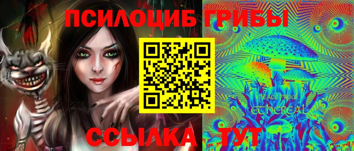 Псилоцибиновые грибы мухоморы Торжок