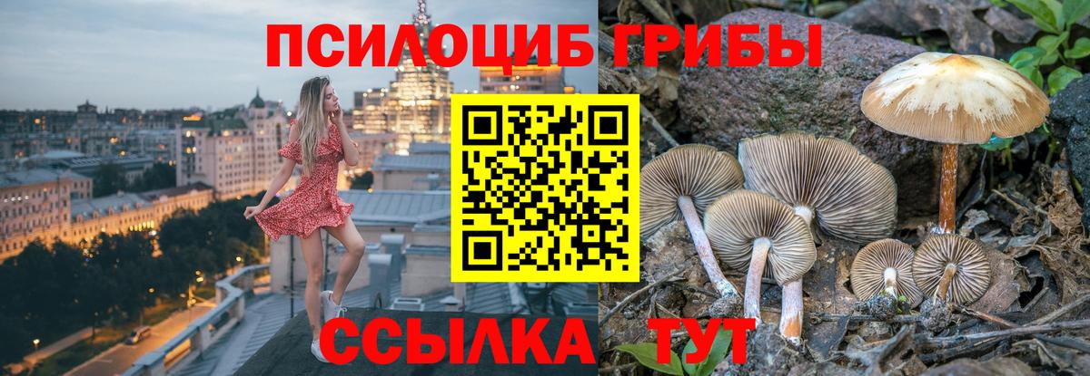 Псилоцибиновые грибы GOLDEN TEACHER  Вход с VPN  Торжок  Галлюциногенные грибы мицелий 